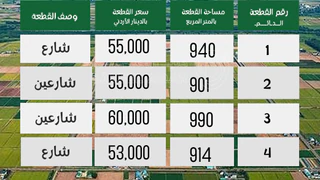 أرض في شار ع مادبا الغربي  - 55,000 دأ - صورة NaN