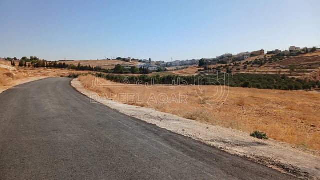 أرض في شار ع مادبا الغربي  - 55,000 دأ - صورة NaN