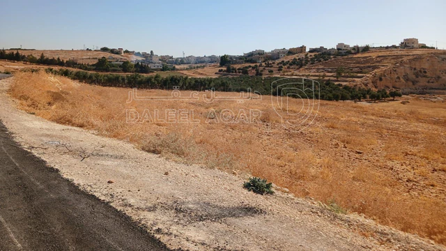 أرض في شار ع مادبا الغربي  - 55,000 دأ - صورة NaN