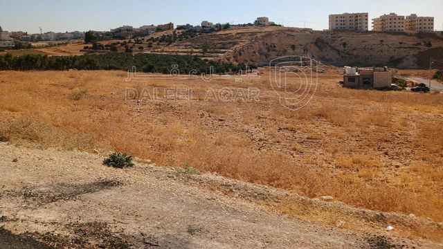 أرض في شار ع مادبا الغربي  - 55,000 دأ - صورة NaN