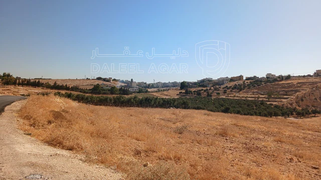 أرض في شار ع مادبا الغربي  - 55,000 دأ - صورة NaN