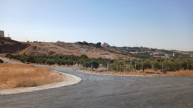 أرض في شار ع مادبا الغربي  - 55,000 دأ - صورة NaN