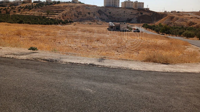 أرض في شار ع مادبا الغربي  - 55,000 دأ - صورة NaN