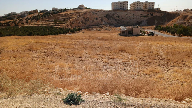 أرض في شار ع مادبا الغربي  - 55,000 دأ - صورة NaN