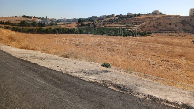 أرض في شار ع مادبا الغربي  - 55,000 دأ - صورة NaN