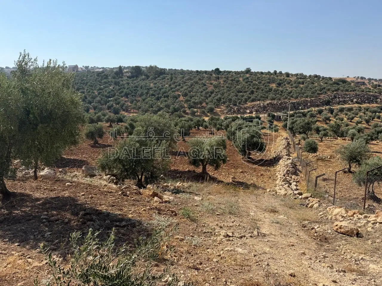 أرض في الزرقاء، المسره، بالقرب من مسجد المسره - 150,000 دأ - صورة 1