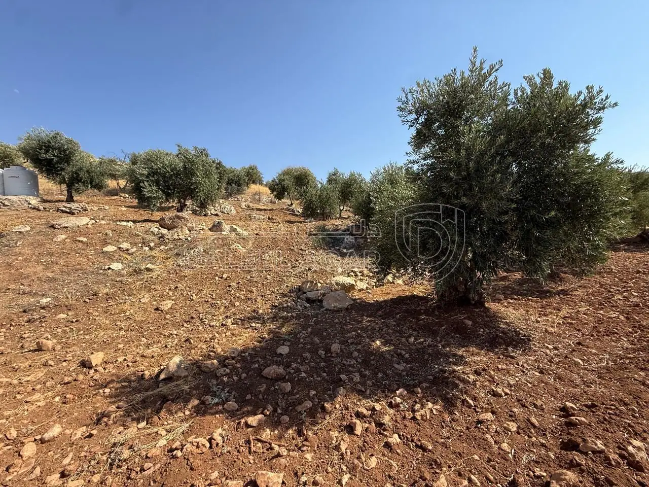 أرض في الزرقاء، المسره، بالقرب من مسجد المسره - 150,000 دأ - صورة 1