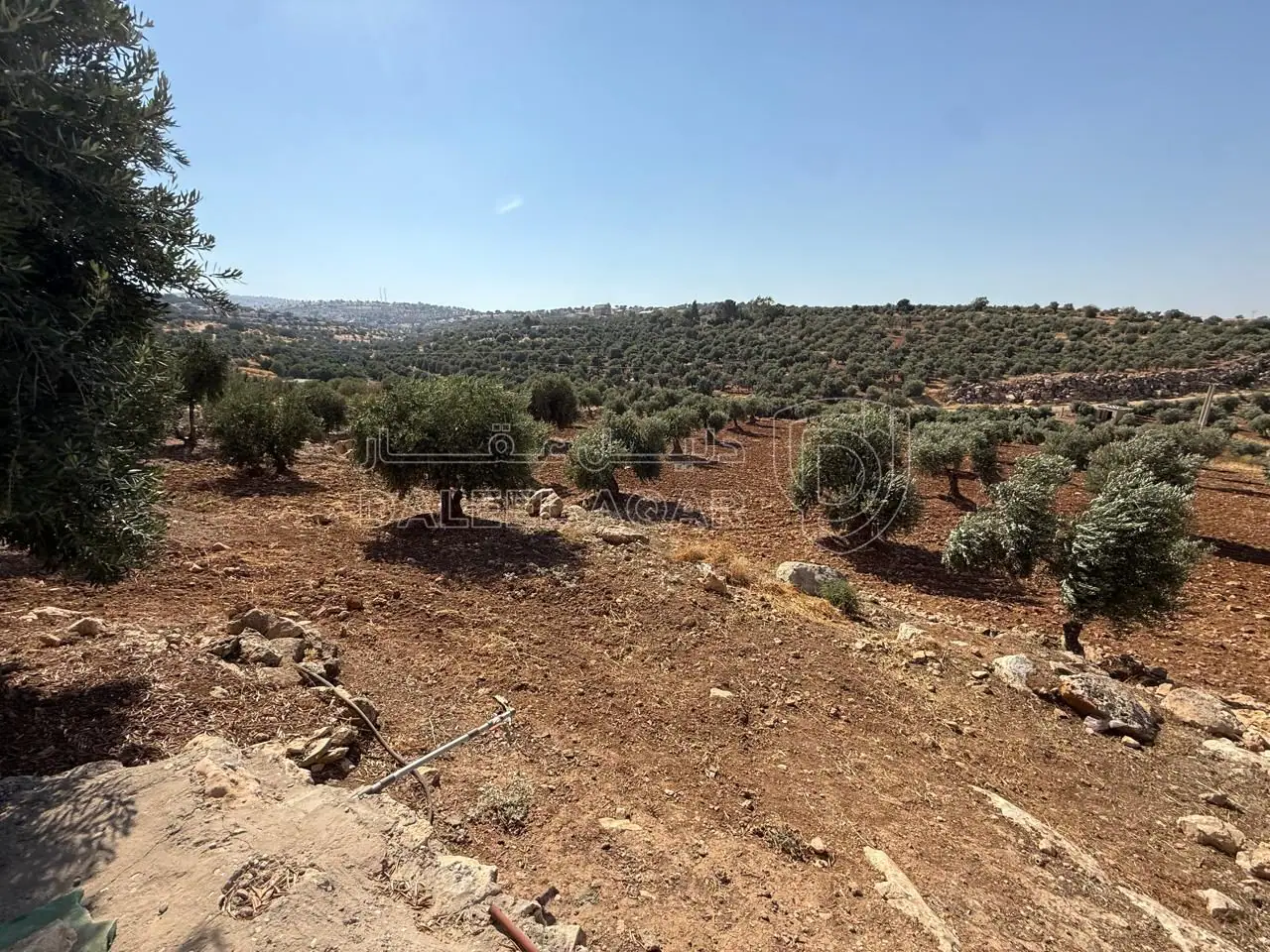 أرض في الزرقاء، المسره، بالقرب من مسجد المسره - 150,000 دأ - صورة 1