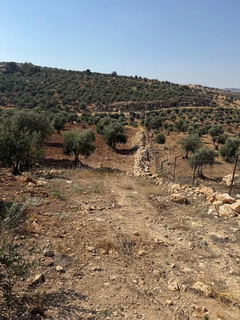 أرض في الزرقاء، المسره، بالقرب من مسجد المسره - 150,000 دأ - صورة 1