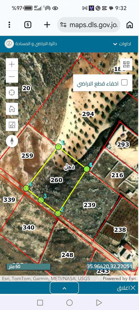 أرض في دحل - اوتوستراد الزرقاء الرئيسي - 28,000 دأ - صورة 2