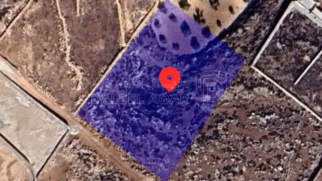 أرض في دحل - اوتوستراد الزرقاء الرئيسي - 28,000 دأ - صورة 1