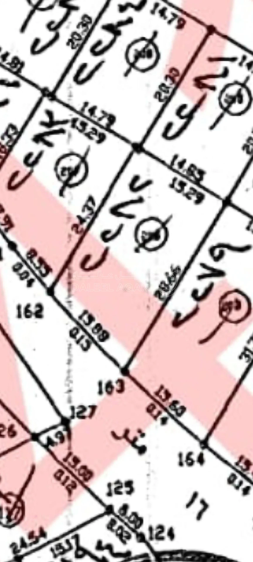 أرض في عمان ماركا المغيرات  - 20,000 دأ - صورة 3