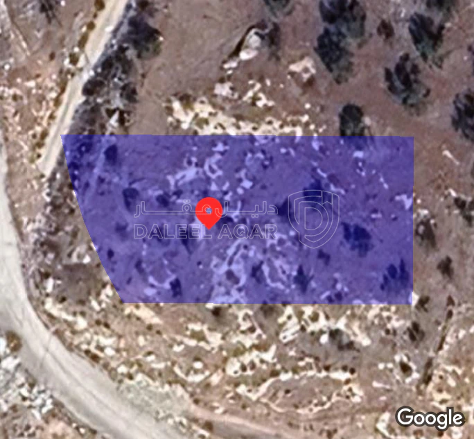 أرض في اربد تقبل دابوليا حوض الأحياء رقم القطعه 667 - 55,000 دأ - صورة 1