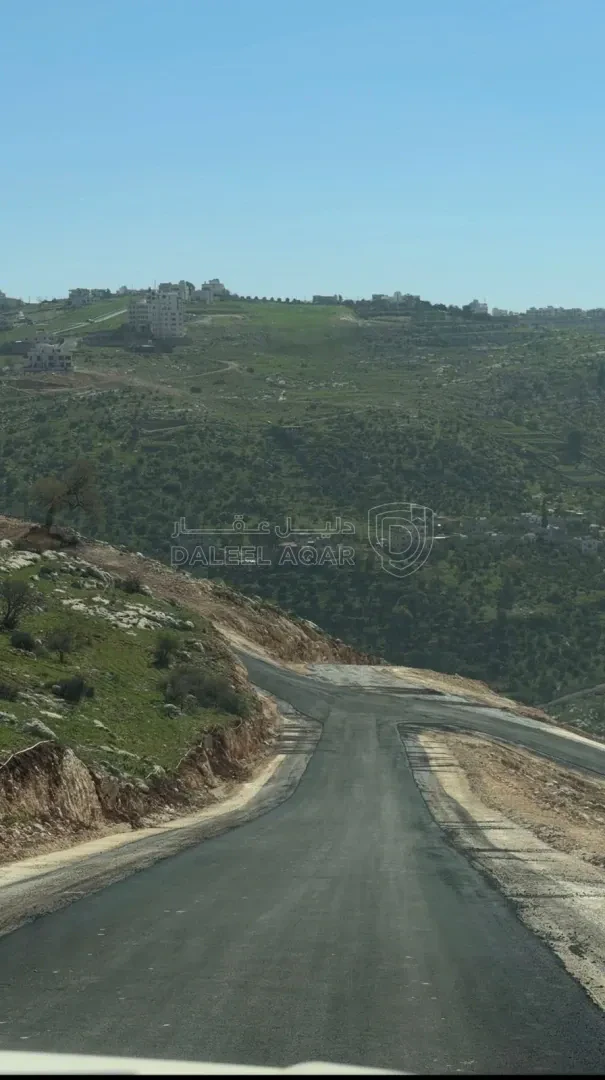أرض في اراضي غرب عمان ضواحي بدر الجديدة - 133,000 دأ - صورة 1