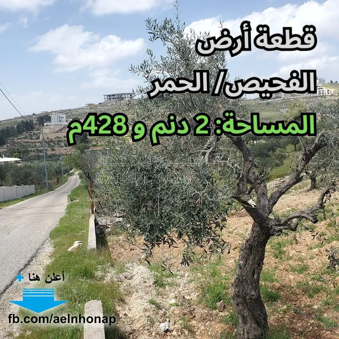 أرض في الفحيص/ الحمر - تبعد 450م عن مدرسة رم الدولية - 370,000 دأ - صورة 1