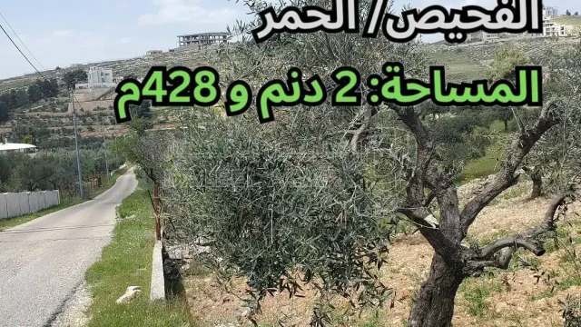 أرض - الفحيص/ الحمر - تبعد 450م عن مدرسة رم الدولية - 370000 دأ