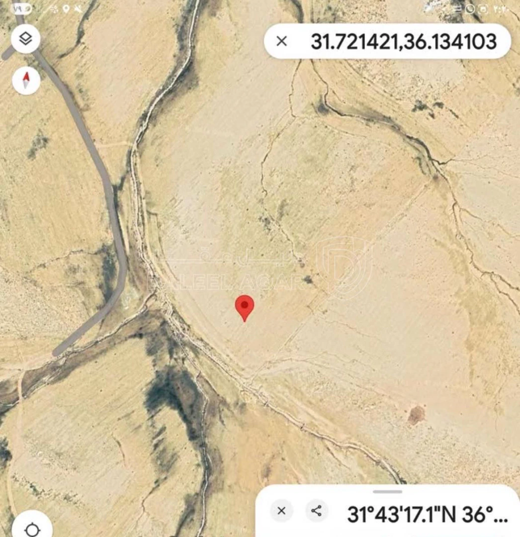 أرض في ارض للبيع ١١.٤ دنم الموقر العنفدان الشرقي - 28,000 دأ - صورة 1