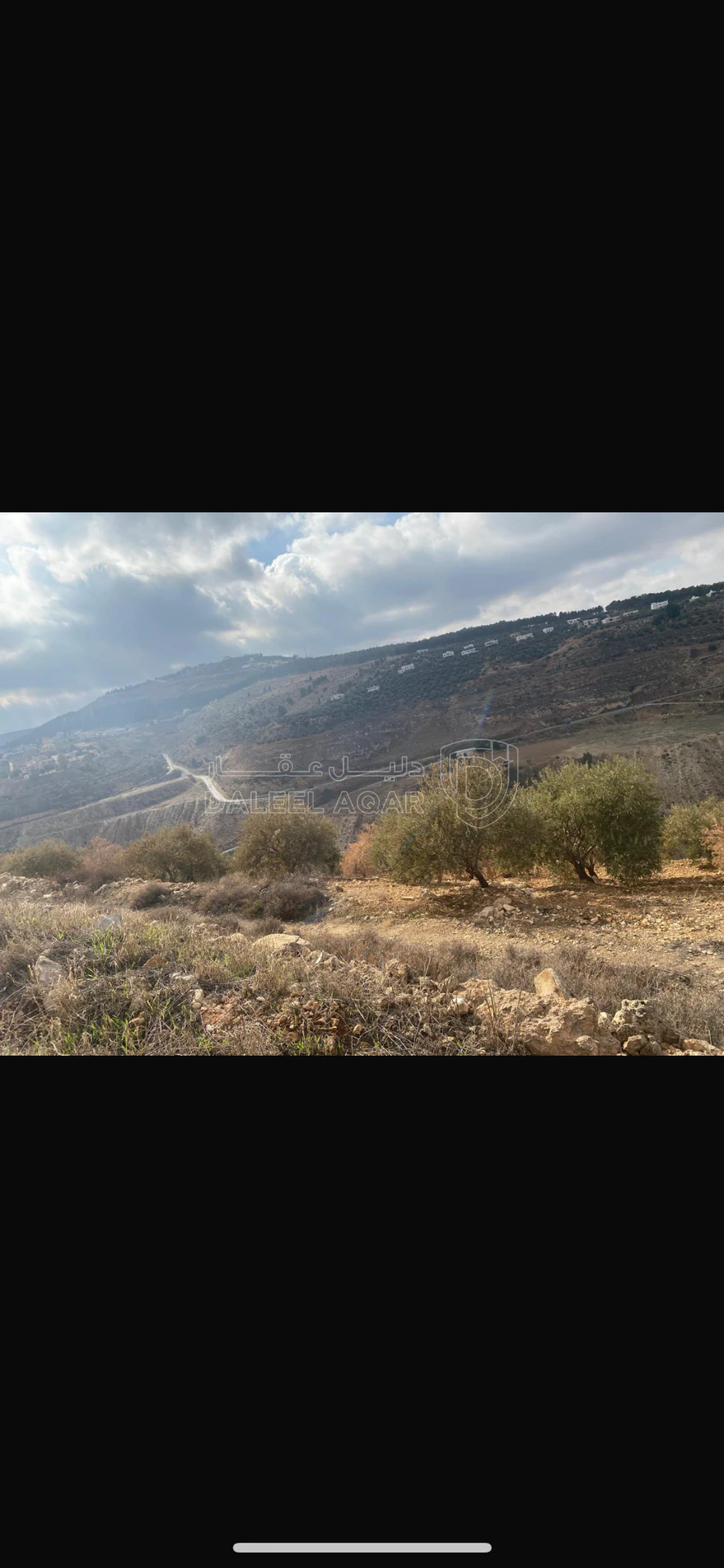 أرض في ام الدنانير ام سنديانه - 570,000 دأ - صورة 2