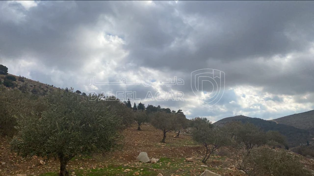 أرض في ام الدنانير ام سنديانه - 570,000 دأ - صورة 1