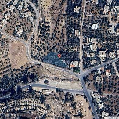 أرض في السلط - الصبيحي - 37,000 دأ - صورة 1