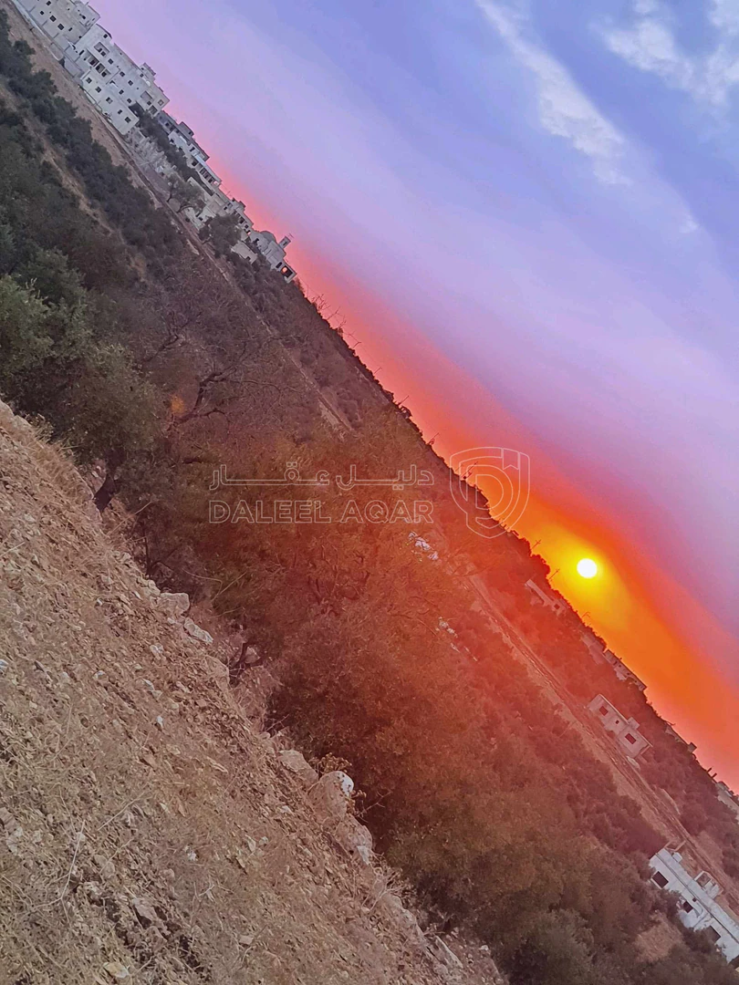 أرض في اربد بلدة زحر تبعدعن بلدية غرب اربد الجديده ٢٥٠متر - 95,000 دأ - صورة 1