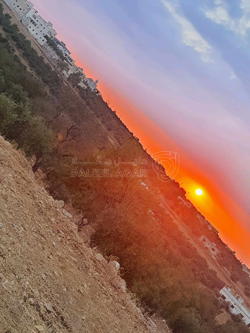 أرض في اربد بلدة زحر تبعدعن بلدية غرب اربد الجديده ٢٥٠متر - 95,000 دأ - صورة 1