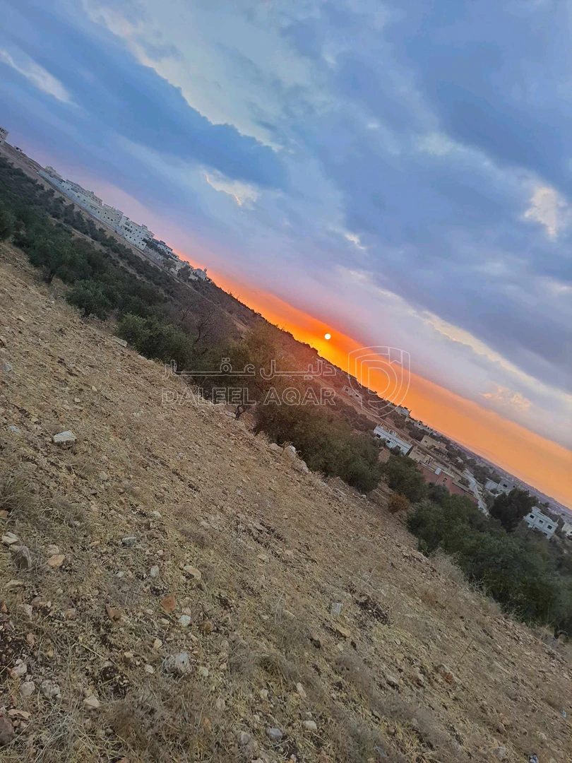 أرض في اربد بلدة زحر تبعدعن بلدية غرب اربد الجديده ٢٥٠متر - 95,000 دأ - صورة 1