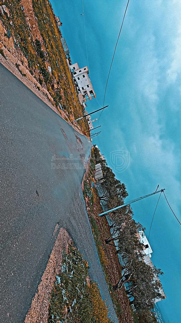 أرض في اربد بلدة زحر تبعدعن بلدية غرب اربد الجديده ٢٥٠متر - 95,000 دأ - صورة 1