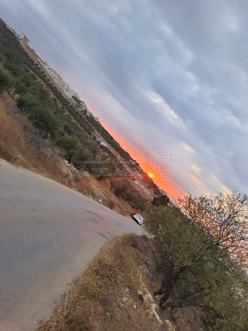 أرض في اربد بلدة زحر تبعدعن بلدية غرب اربد الجديده ٢٥٠متر - 95,000 دأ - صورة 1