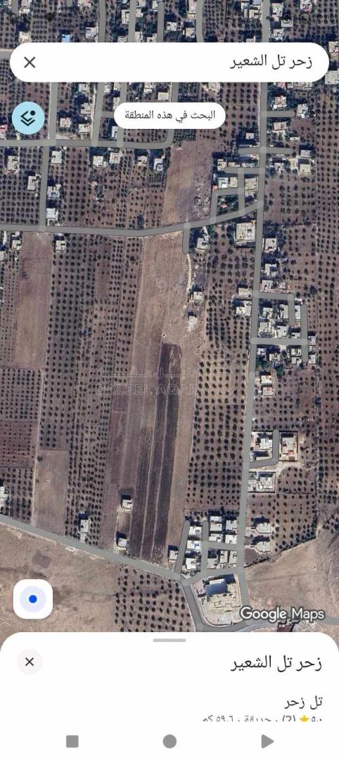 أرض في اربد بلدة زحر تبعدعن بلدية غرب اربد الجديده ٢٥٠متر - 95,000 دأ - صورة 1