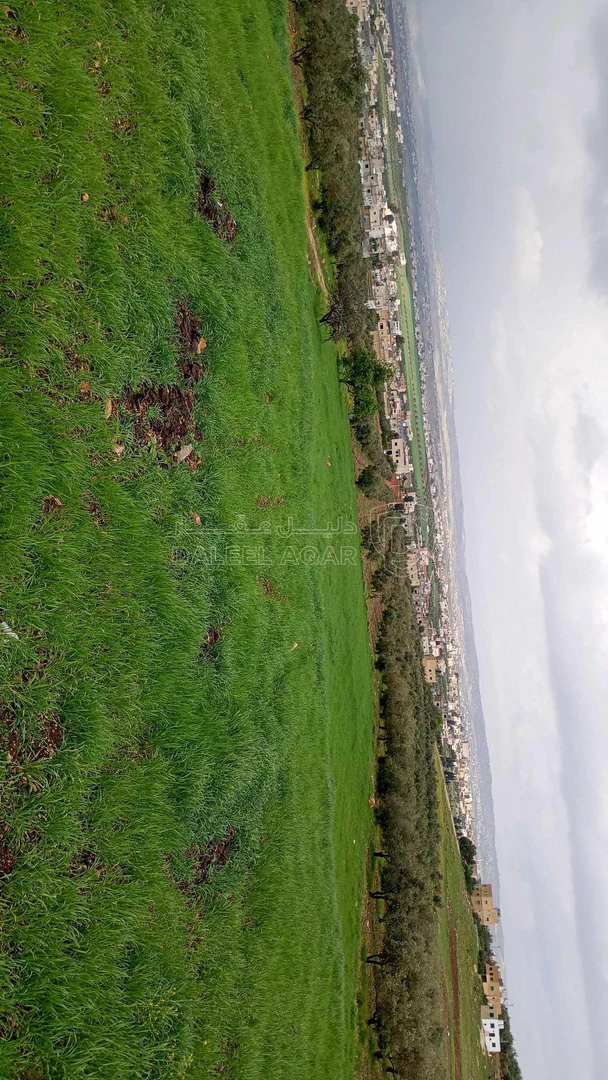 أرض في اربد بلدة زحر تبعدعن بلدية غرب اربد الجديده ٢٥٠متر - 95,000 دأ - صورة 1