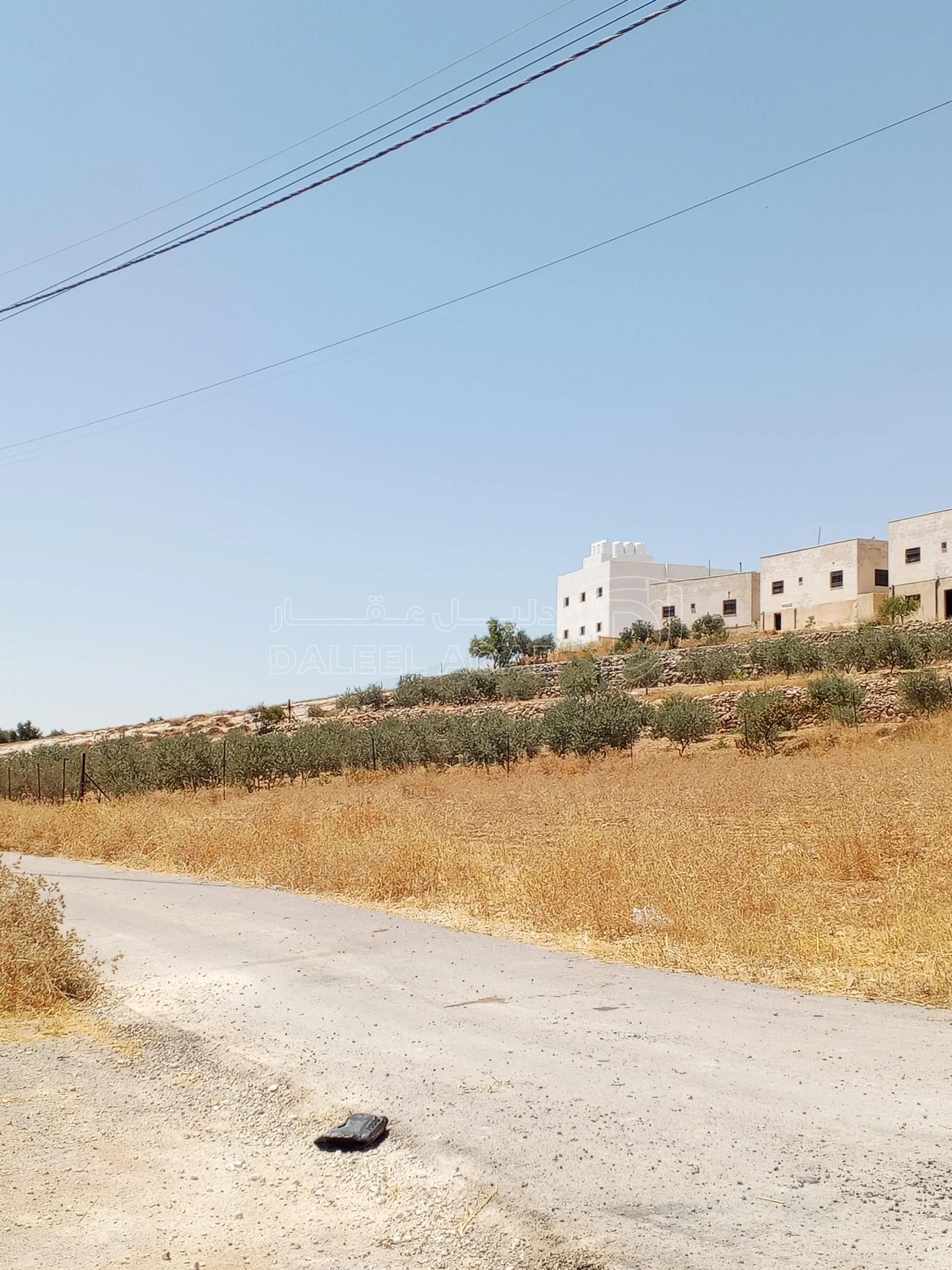 أرض في 1دنم قرمية حسبان حوض ام الشوامر بسعر مغري - 65,000 دأ - صورة 8