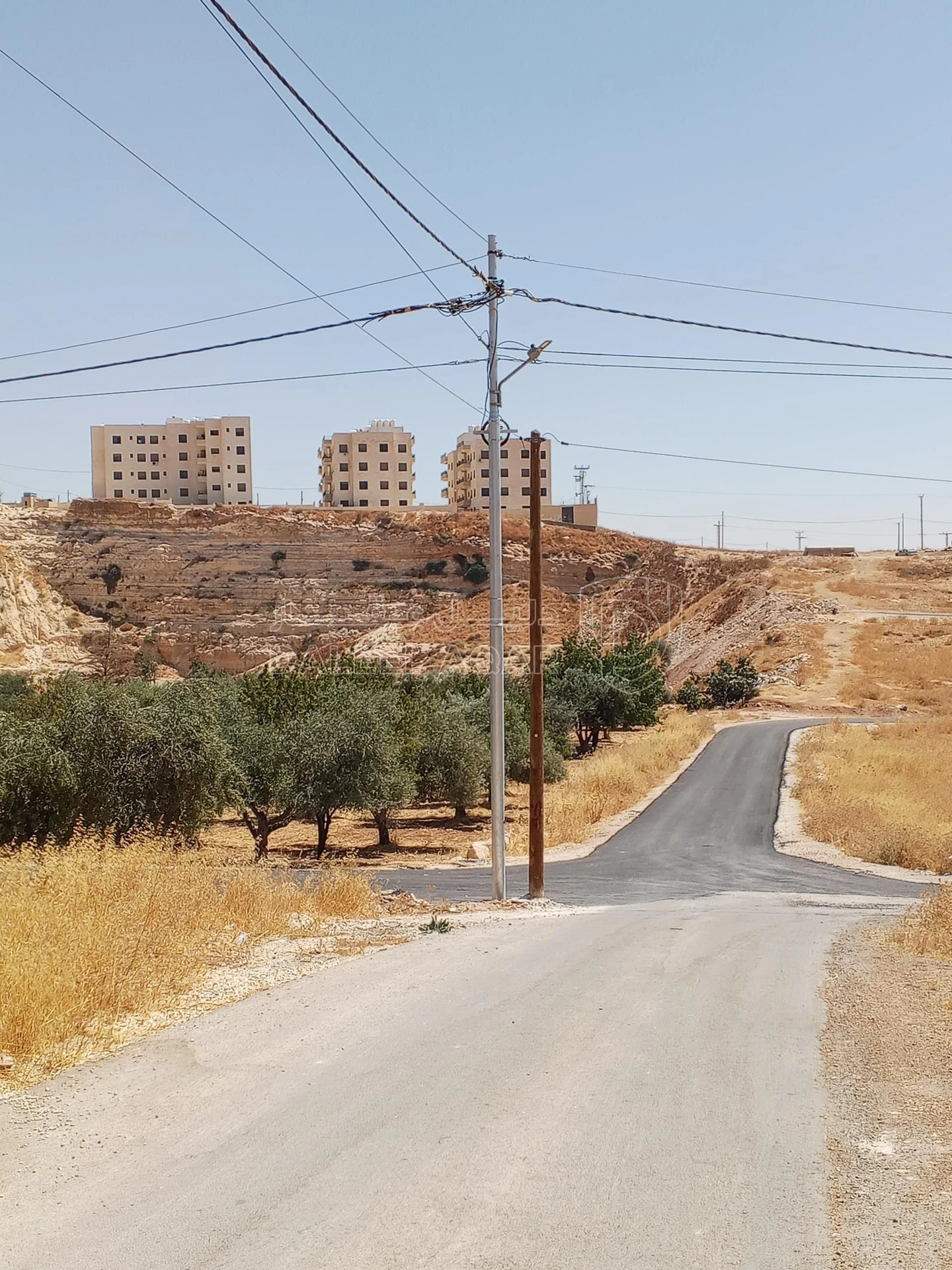 أرض في 1دنم قرمية حسبان حوض ام الشوامر بسعر مغري - 65,000 دأ - صورة 19