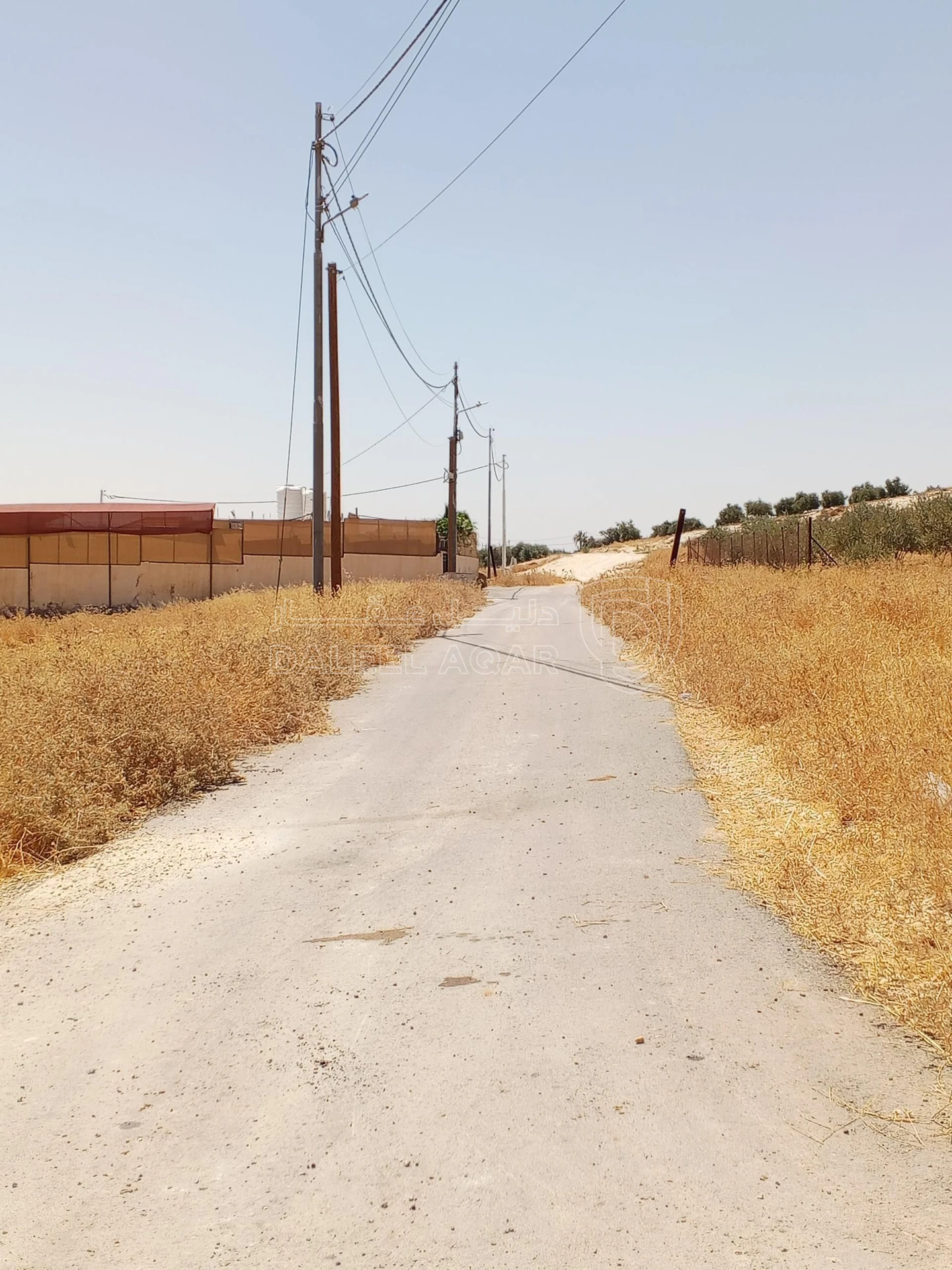 أرض في 1دنم قرمية حسبان حوض ام الشوامر بسعر مغري - 65,000 دأ - صورة 13