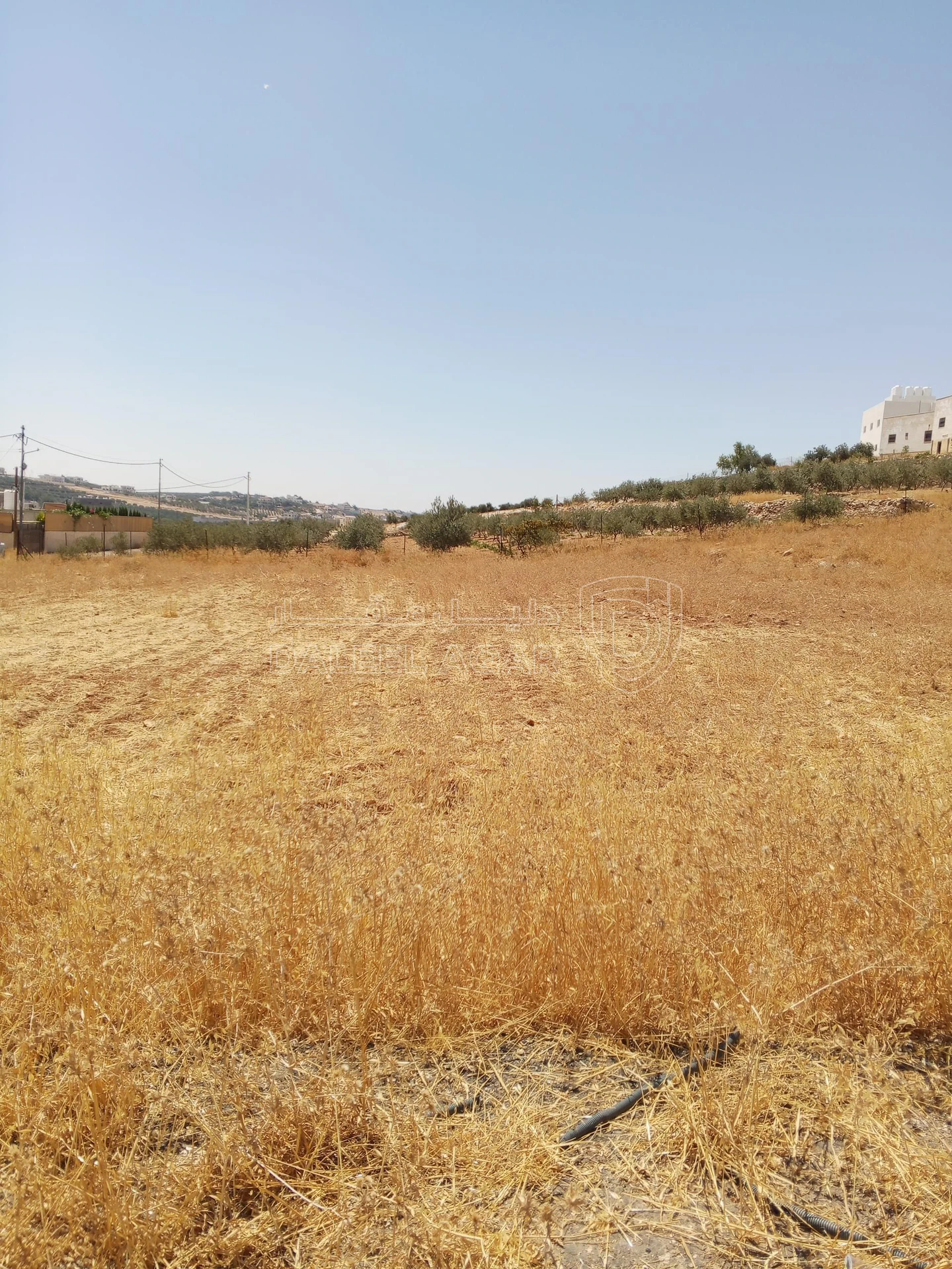أرض في 1دنم قرمية حسبان حوض ام الشوامر بسعر مغري - 65,000 دأ - صورة 6