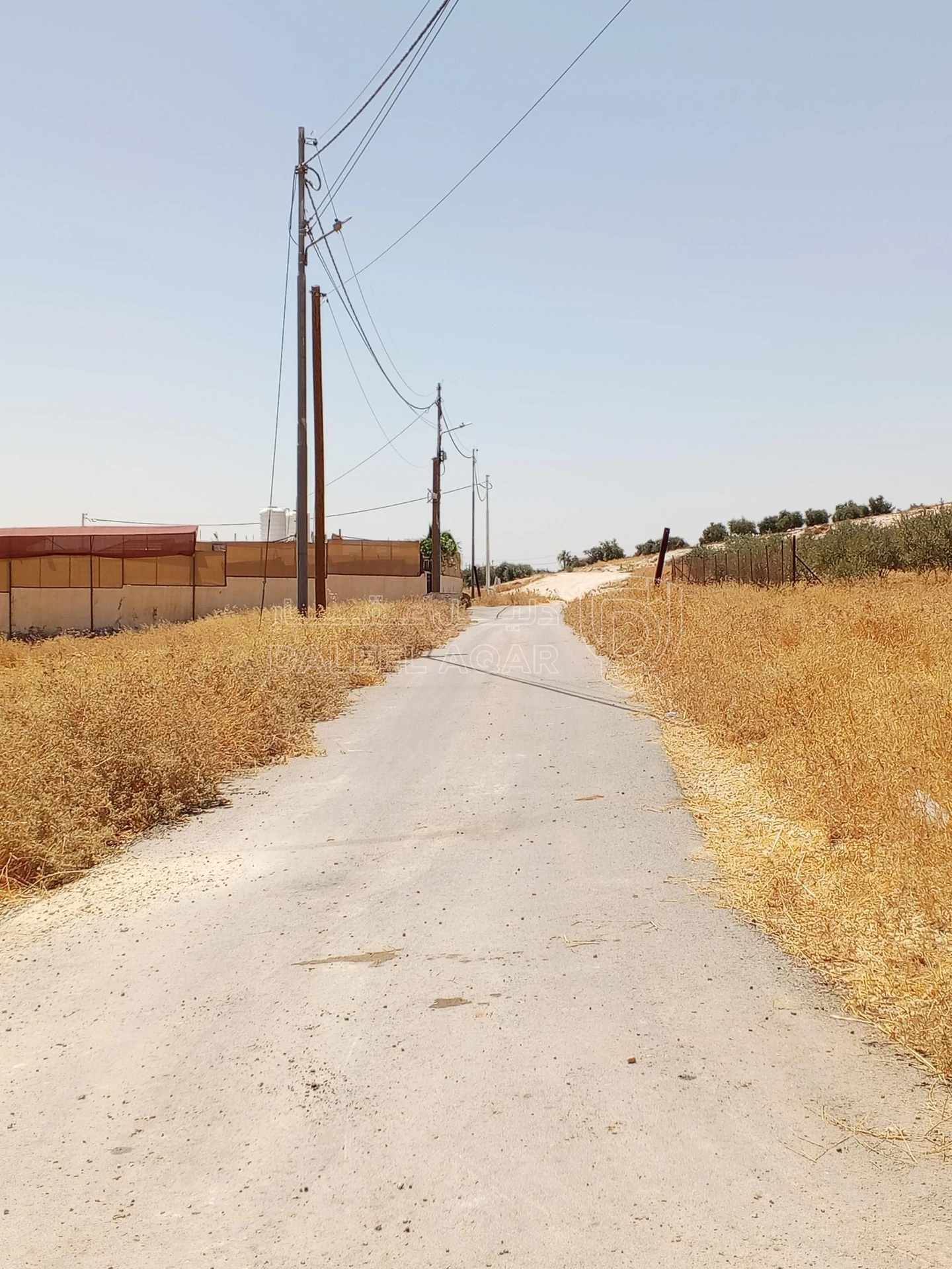 أرض في 1دنم قرمية حسبان حوض ام الشوامر بسعر مغري - 65,000 دأ - صورة 11