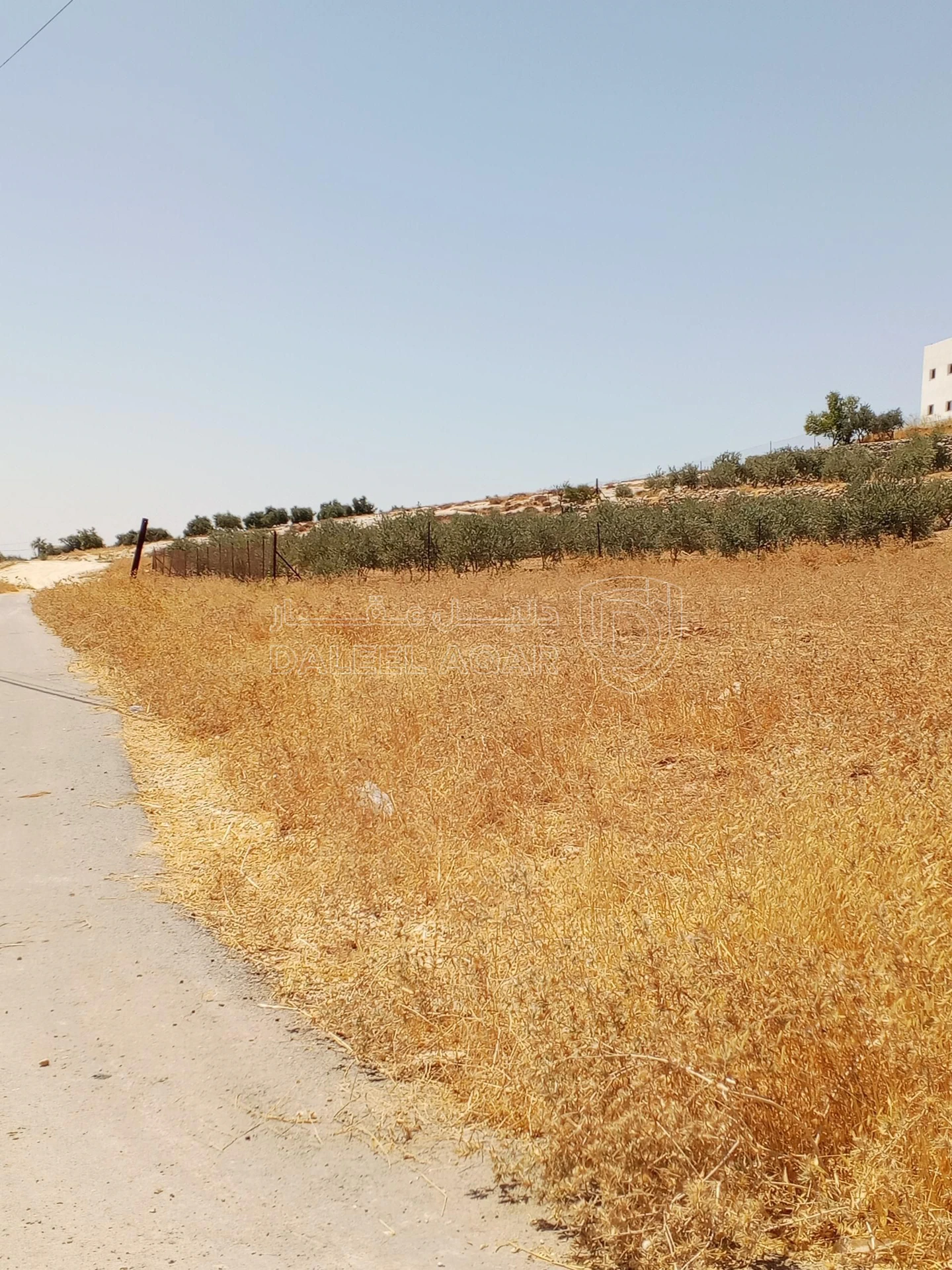 أرض في 1دنم قرمية حسبان حوض ام الشوامر بسعر مغري - 65,000 دأ - صورة 14