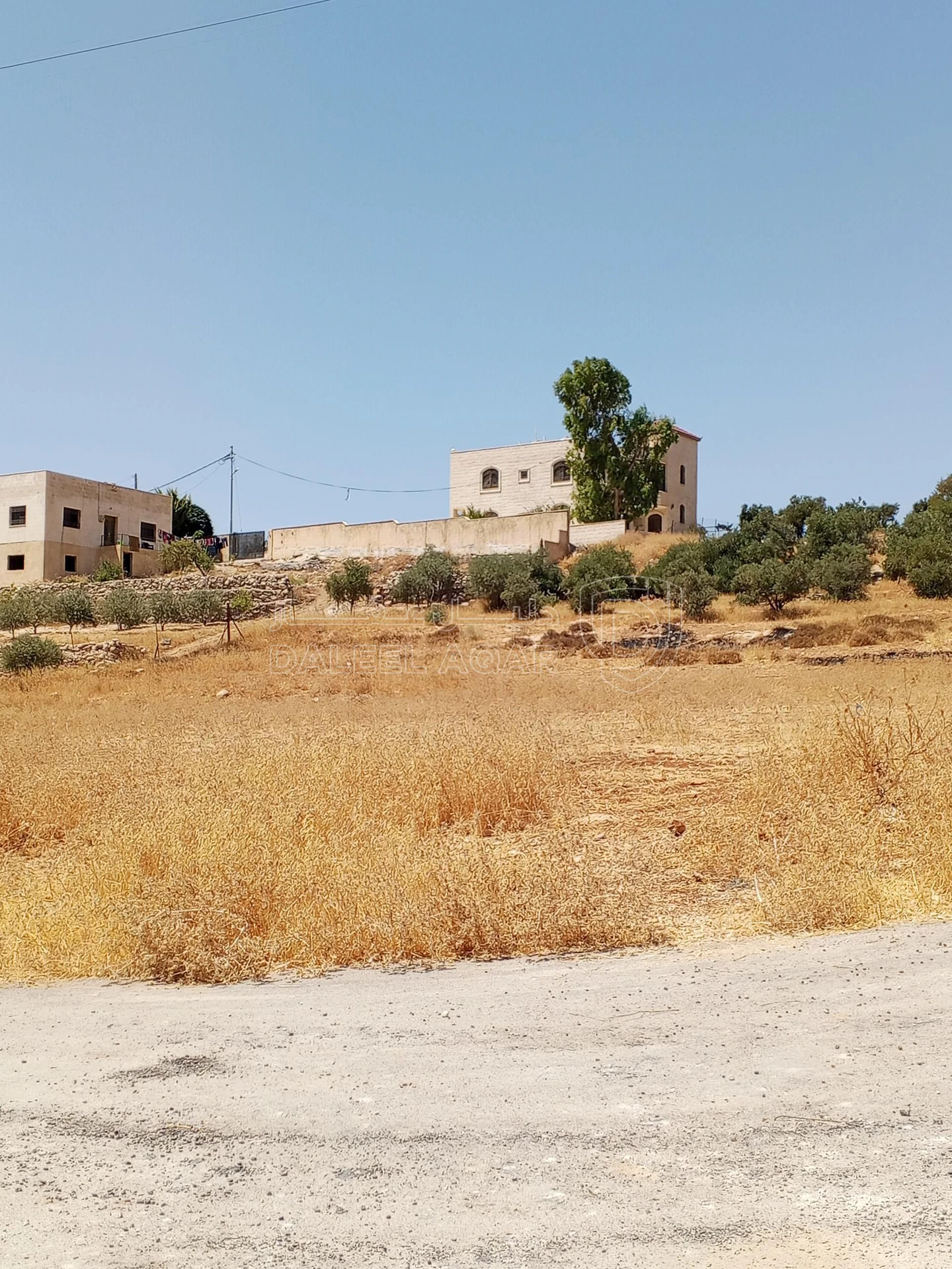 أرض في 1دنم قرمية حسبان حوض ام الشوامر بسعر مغري - 65,000 دأ - صورة 9