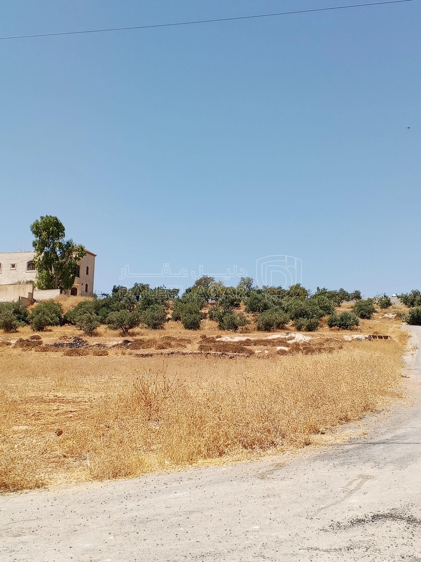 أرض في 1دنم قرمية حسبان حوض ام الشوامر بسعر مغري - 65,000 دأ - صورة 22