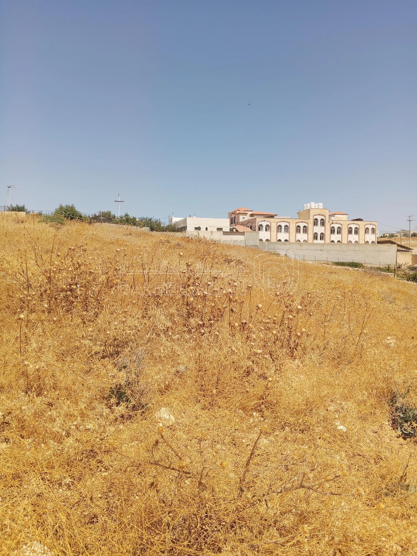 أرض في 1دنم قرمية حسبان حوض ام الشوامر بسعر مغري - 65,000 دأ - صورة 15