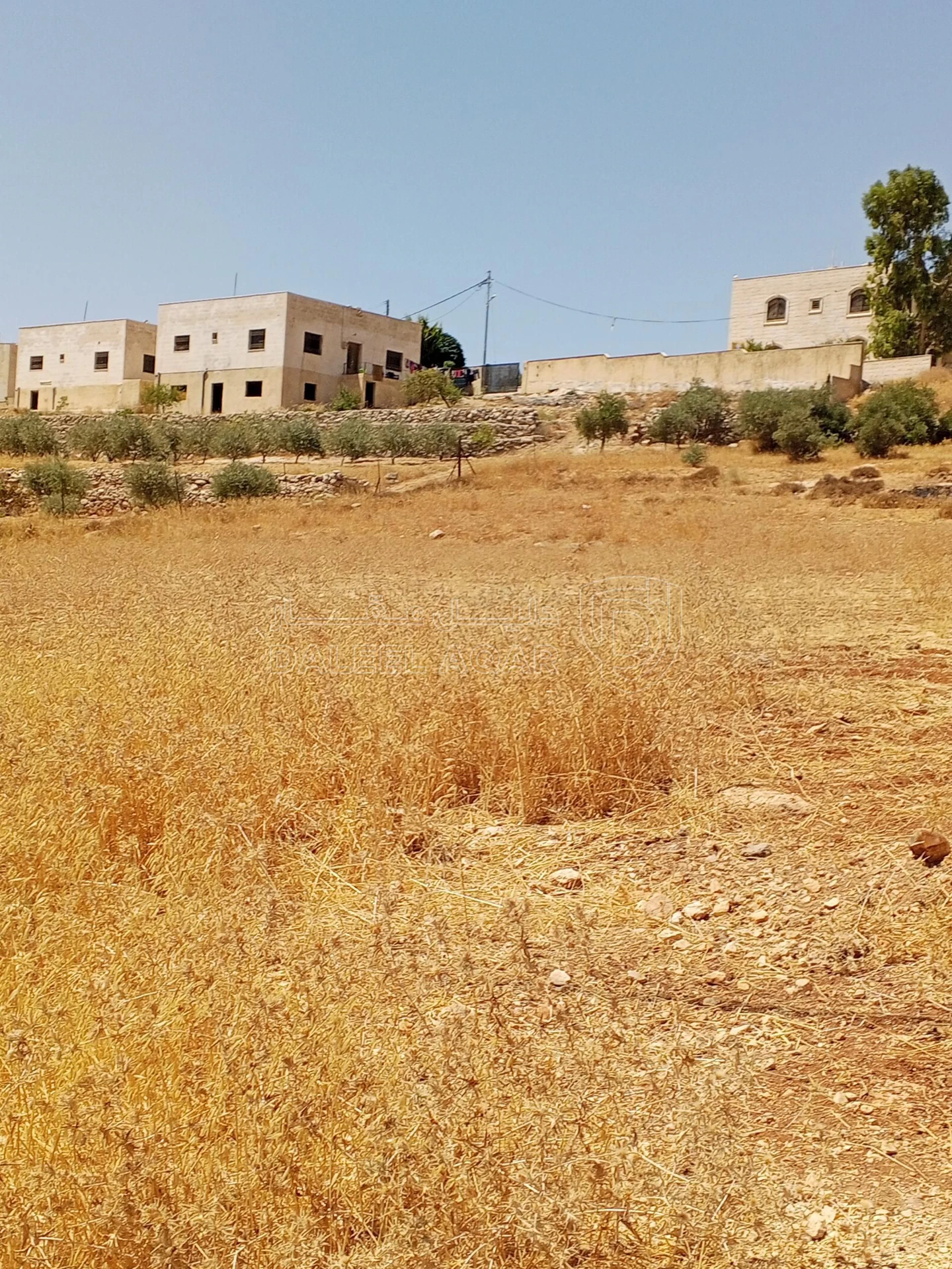 أرض في 1دنم قرمية حسبان حوض ام الشوامر بسعر مغري - 65,000 دأ - صورة 12