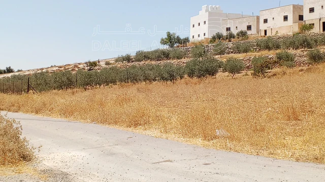 أرض في 1دنم قرمية حسبان حوض ام الشوامر بسعر مغري - 65,000 دأ - صورة NaN