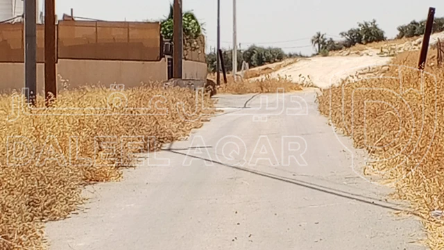 أرض في 1دنم قرمية حسبان حوض ام الشوامر بسعر مغري - 65,000 دأ - صورة 1