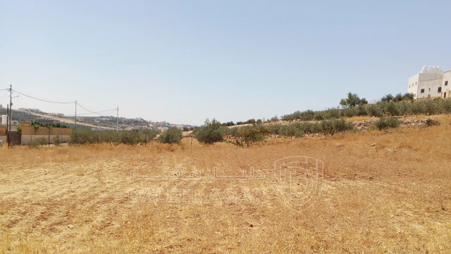 أرض في 1دنم قرمية حسبان حوض ام الشوامر بسعر مغري - 65,000 دأ - صورة NaN