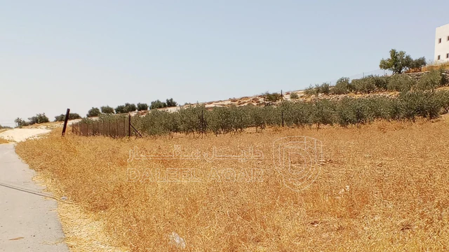 أرض في 1دنم قرمية حسبان حوض ام الشوامر بسعر مغري - 65,000 دأ - صورة NaN