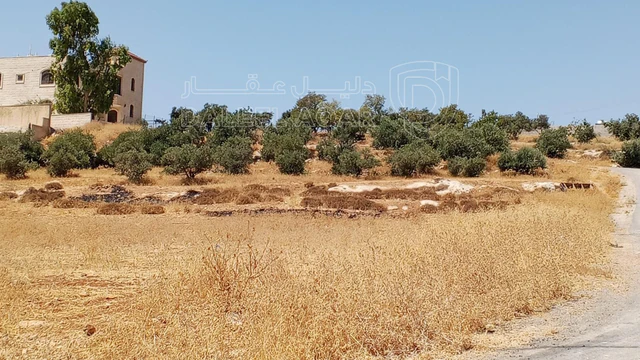 أرض في 1دنم قرمية حسبان حوض ام الشوامر بسعر مغري - 65,000 دأ - صورة NaN