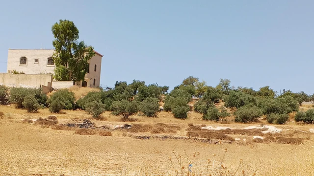 أرض في 1دنم قرمية حسبان حوض ام الشوامر بسعر مغري - 65,000 دأ - صورة NaN