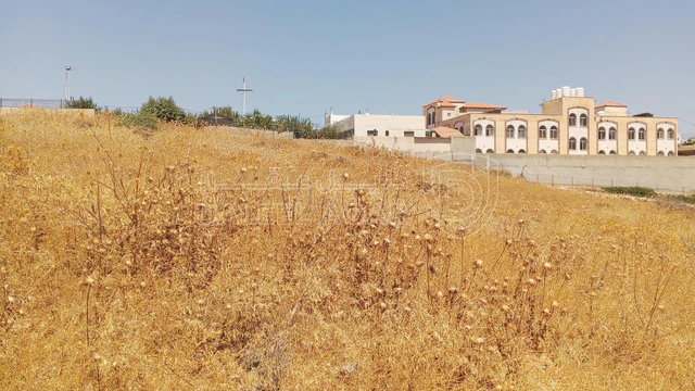أرض في 1دنم قرمية حسبان حوض ام الشوامر بسعر مغري - 65,000 دأ - صورة NaN