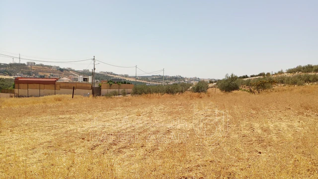 أرض في 1دنم قرمية حسبان حوض ام الشوامر بسعر مغري - 65,000 دأ - صورة NaN