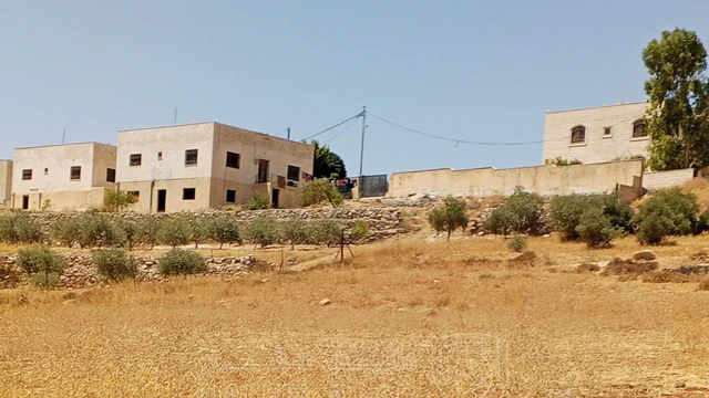 أرض في 1دنم قرمية حسبان حوض ام الشوامر بسعر مغري - 65,000 دأ - صورة NaN
